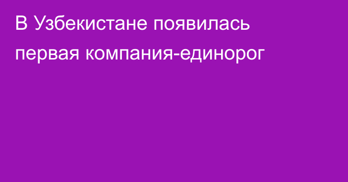 В Узбекистане появилась первая компания-единорог