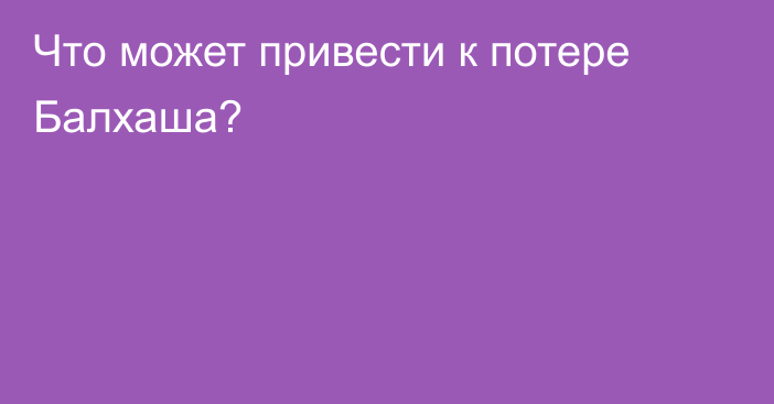 Что может привести к потере Балхаша?