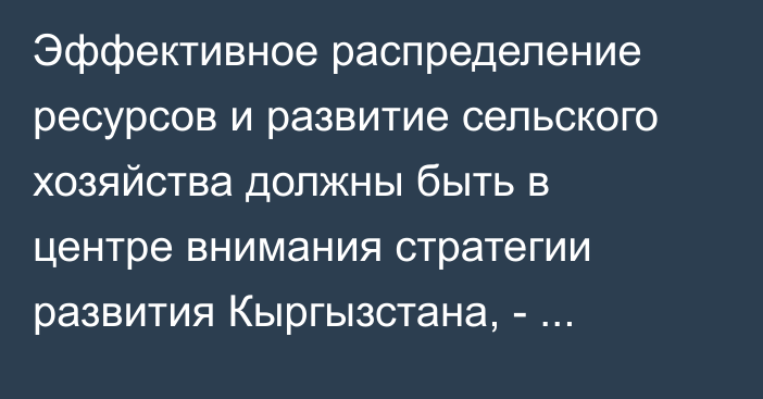 Эффективное распределение ресурсов и развитие сельского хозяйства должны быть в центре внимания стратегии развития Кыргызстана, -  экономист