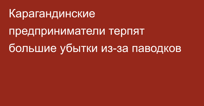 Карагандинские предприниматели терпят большие убытки из-за паводков