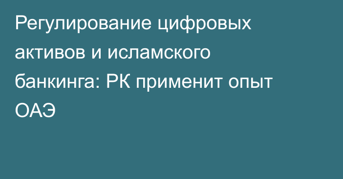 Регулирование цифровых активов и исламского банкинга: РК применит опыт ОАЭ