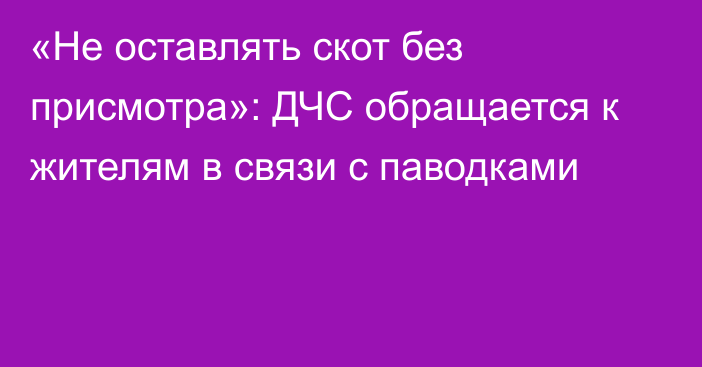 «Не оставлять скот без присмотра»: ДЧС обращается к жителям в связи с паводками