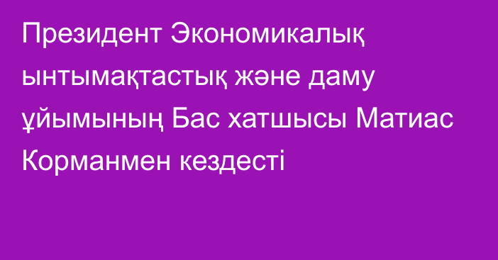 Президент Экономикалық ынтымақтастық және даму ұйымының Бас хатшысы Матиас Корманмен кездесті