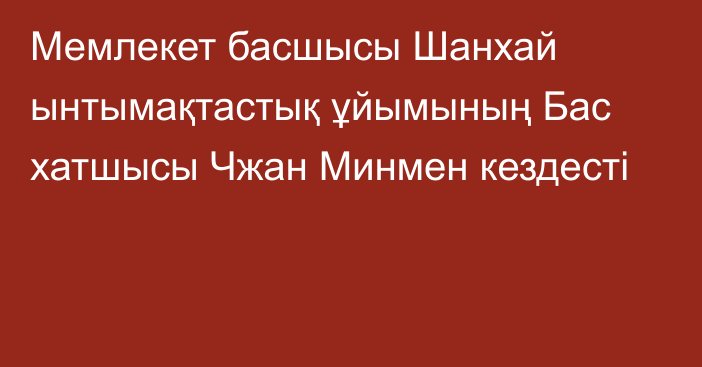 Мемлекет басшысы Шанхай ынтымақтастық ұйымының Бас хатшысы Чжан Минмен кездесті