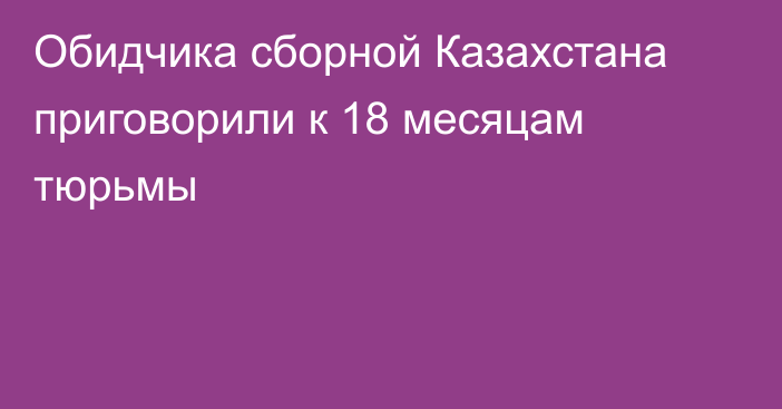 Обидчика сборной Казахстана приговорили к 18 месяцам тюрьмы