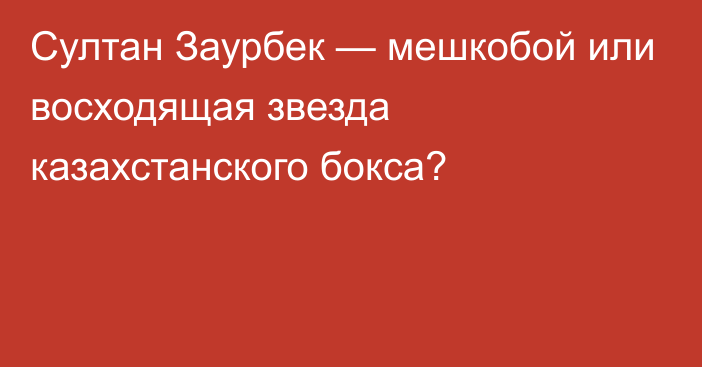 Султан Заурбек — мешкобой или восходящая звезда казахстанского бокса?