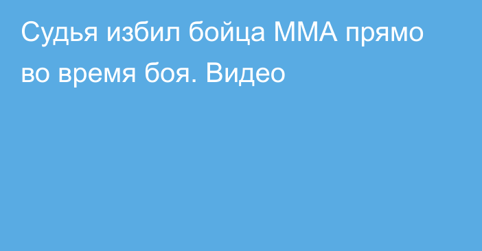 Судья избил бойца ММА прямо во время боя. Видео