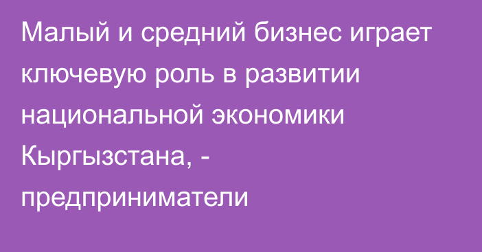 Малый и средний бизнес играет ключевую роль в развитии национальной экономики Кыргызстана, - предприниматели