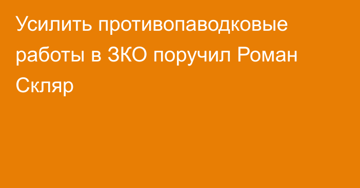 Усилить противопаводковые работы в ЗКО поручил Роман Скляр