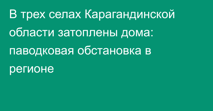 В трех селах Карагандинской области затоплены дома: паводковая обстановка в регионе