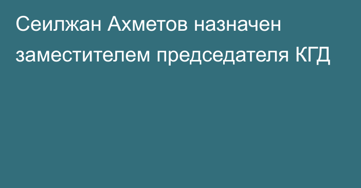 Сеилжан Ахметов назначен заместителем председателя КГД