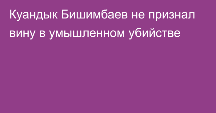 Куандык Бишимбаев не признал вину в умышленном убийстве