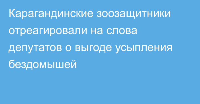 Карагандинские зоозащитники отреагировали на слова депутатов о выгоде усыпления бездомышей