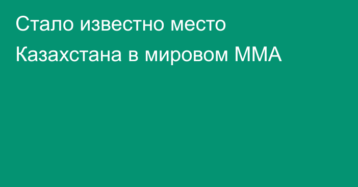 Стало известно место Казахстана в мировом ММА