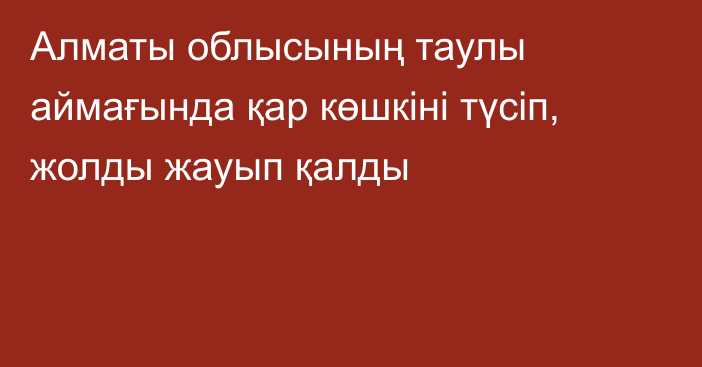 Алматы облысының таулы аймағында қар көшкіні түсіп, жолды жауып қалды