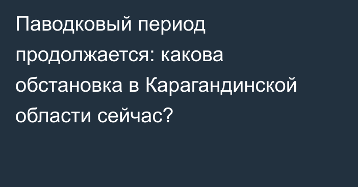 Паводковый период продолжается: какова обстановка в Карагандинской области сейчас?