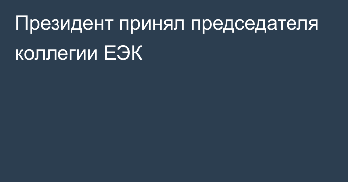 Президент принял председателя коллегии ЕЭК