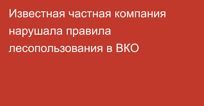 Известная частная компания нарушала правила лесопользования в ВКО