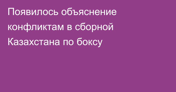 Появилось объяснение конфликтам в сборной Казахстана по боксу