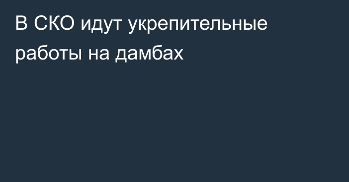 В СКО идут укрепительные работы на дамбах