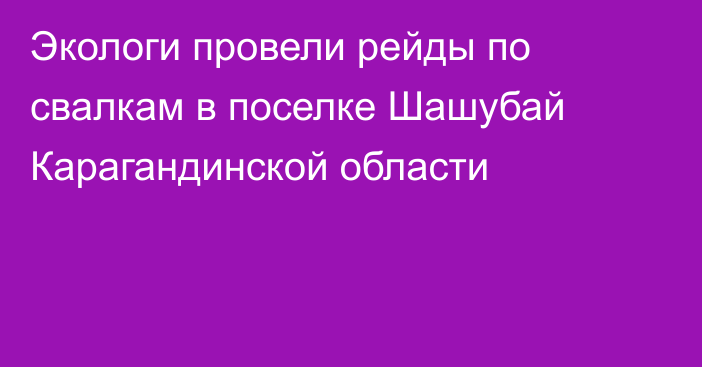 Экологи провели рейды по свалкам в поселке Шашубай Карагандинской области