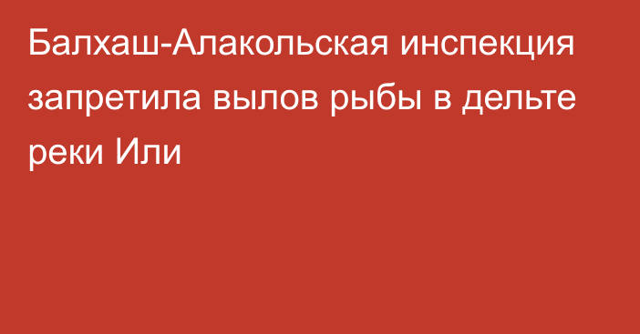 Балхаш-Алакольская инспекция запретила вылов рыбы в дельте реки Или