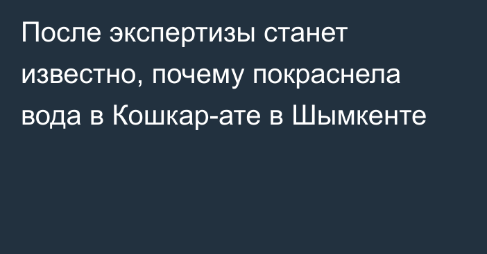 После экспертизы станет известно, почему покраснела вода в Кошкар-ате в Шымкенте