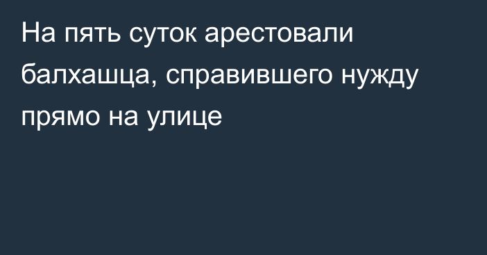 На пять суток арестовали балхашца, справившего нужду прямо на улице