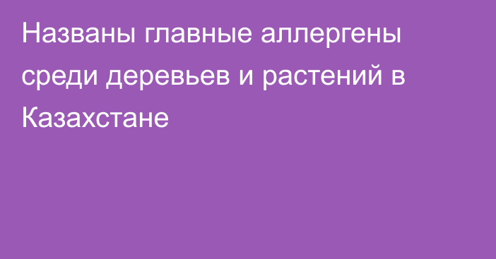 Названы главные аллергены среди деревьев и растений в Казахстане