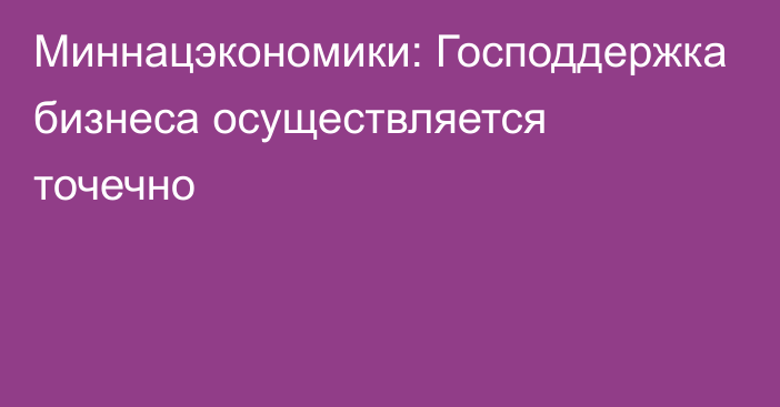 Миннацэкономики: Господдержка бизнеса осуществляется точечно