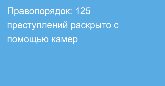 Правопорядок: 125 преступлений раскрыто с помощью камер