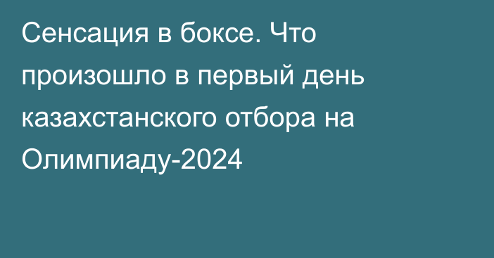 Сенсация в боксе. Что произошло в первый день казахстанского отбора на Олимпиаду-2024