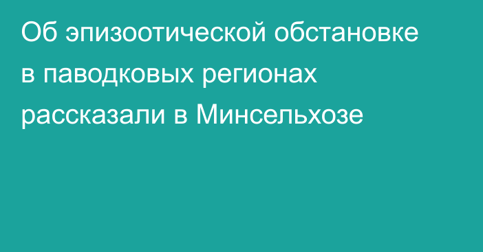 Об эпизоотической обстановке в паводковых регионах рассказали в Минсельхозе