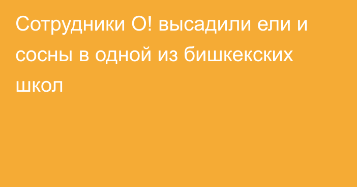 Сотрудники О! высадили ели и сосны в одной из бишкекских школ