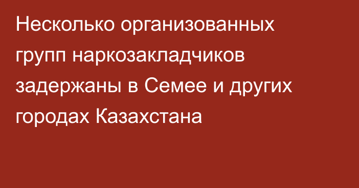 Несколько организованных групп наркозакладчиков задержаны в Семее и других городах Казахстана