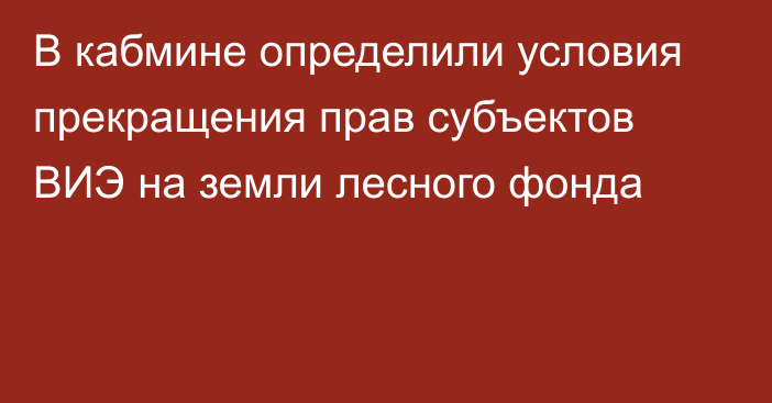 В кабмине определили условия прекращения прав субъектов ВИЭ на земли лесного фонда