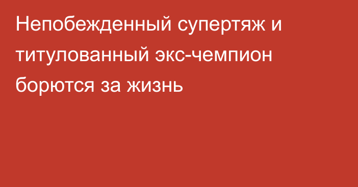 Непобежденный супертяж и титулованный экс-чемпион борются за жизнь