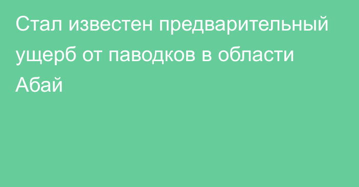 Стал известен предварительный ущерб от паводков в области Абай