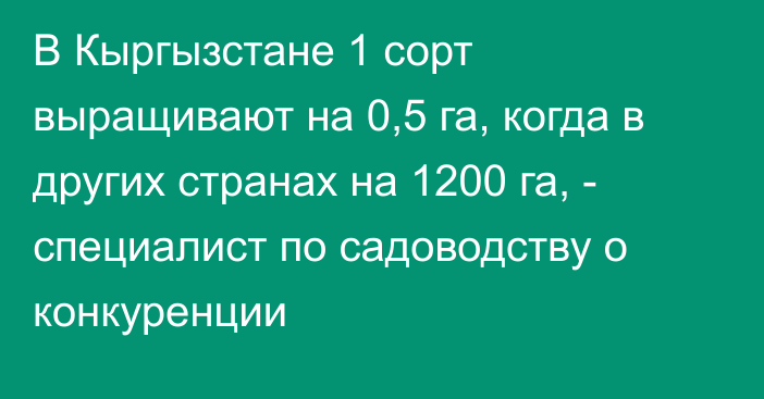 В Кыргызстане 1 сорт выращивают на 0,5 га, когда в других странах на 1200 га, - специалист по садоводству о конкуренции 