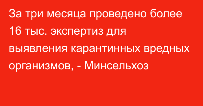 За три месяца проведено более 16 тыс. экспертиз для выявления карантинных вредных организмов, - Минсельхоз