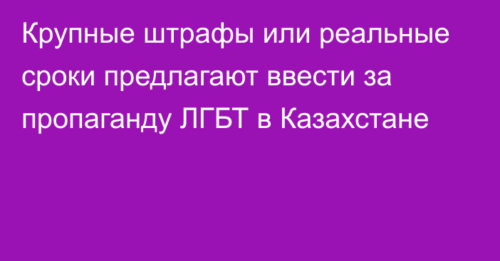 Крупные штрафы или реальные сроки предлагают ввести за пропаганду ЛГБТ в Казахстане