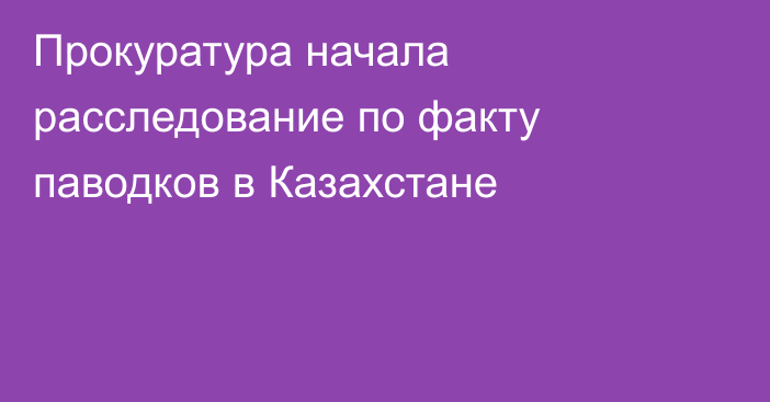 Прокуратура начала расследование по факту паводков в Казахстане