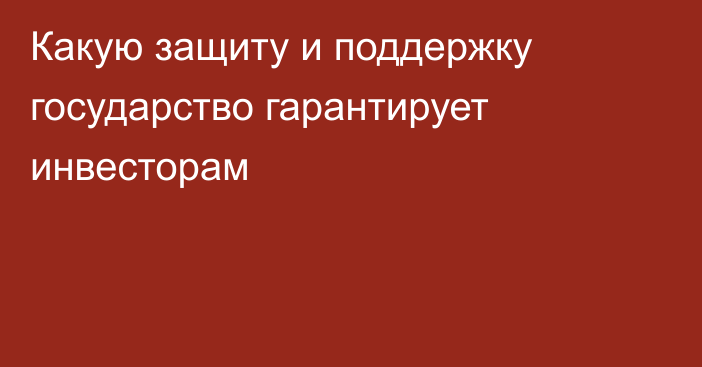 Какую защиту и поддержку государство гарантирует инвесторам