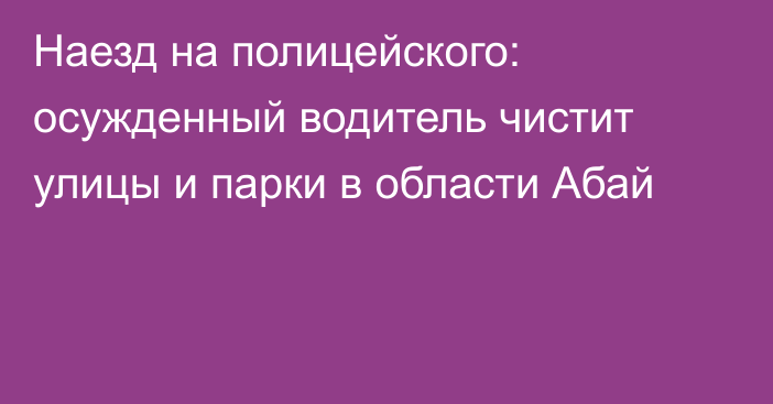 Наезд на полицейского: осужденный водитель чистит улицы и парки в области Абай