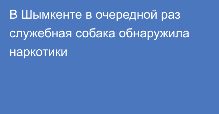 В Шымкенте в очередной раз служебная собака обнаружила наркотики