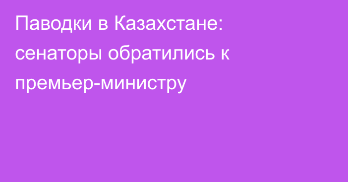 Паводки в Казахстане: сенаторы обратились к премьер-министру