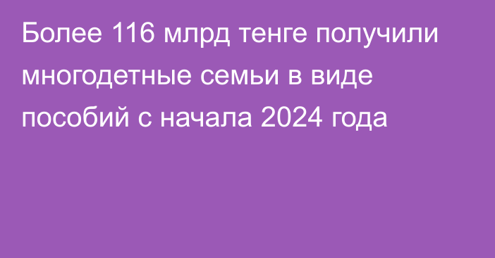 Более 116 млрд тенге получили многодетные семьи в виде пособий с начала 2024 года