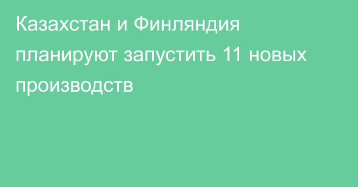 Казахстан и Финляндия планируют запустить 11 новых производств