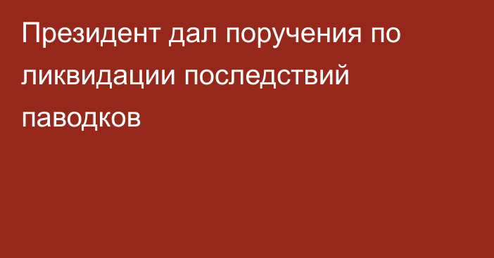 Президент дал поручения по ликвидации последствий паводков