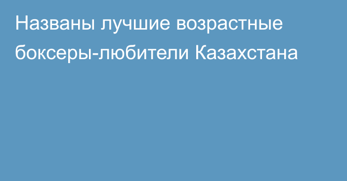 Названы лучшие возрастные боксеры-любители Казахстана